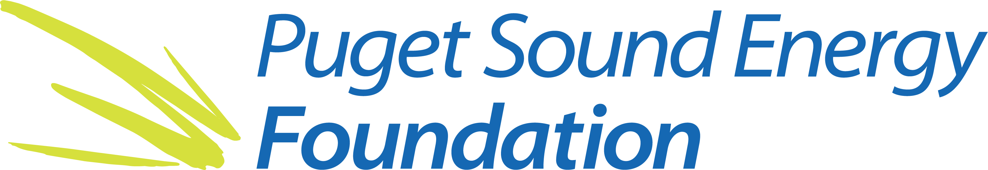 PSEFoundation Logo